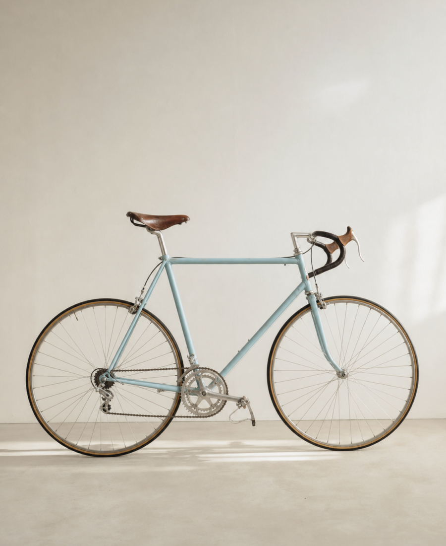 Italian steel road bicycle — In Use Since collection study